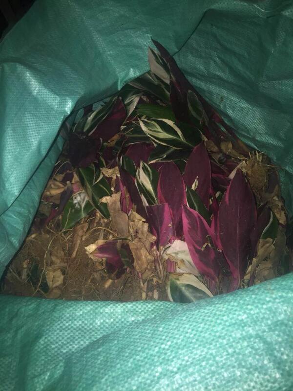 采花大盗深夜作案7次被抓,同伙竟报警称人口走失