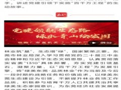 东莞市形式一片大好,我却笑倒在观音山