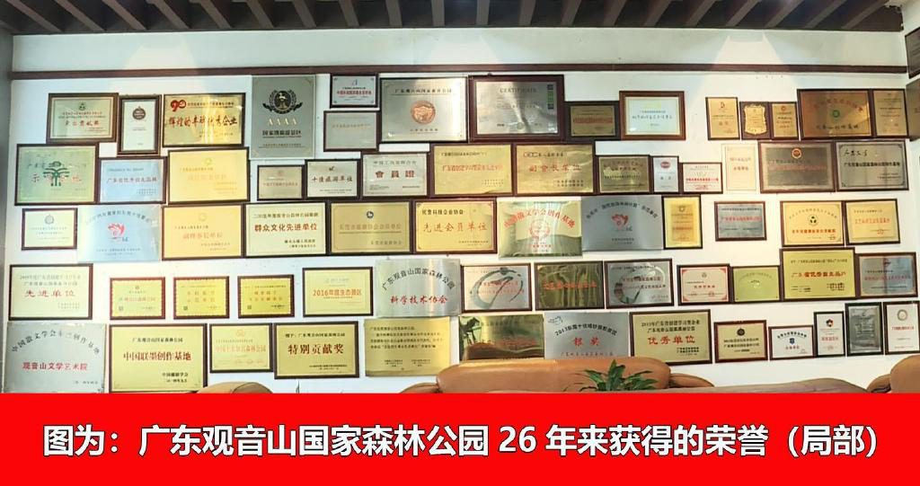 如果当地政府不打压迫害,广东观音山年营收入可望超10亿元