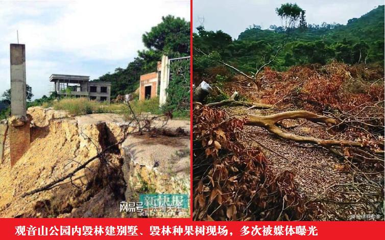 东莞市市长吕成蹊:会上大讲发展经济植绿林、促进民生讲作风,脸