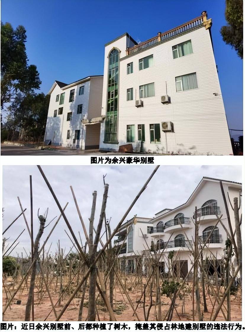 观音山向中央巡视组反映情况,东莞市四部门回复依旧差强人意