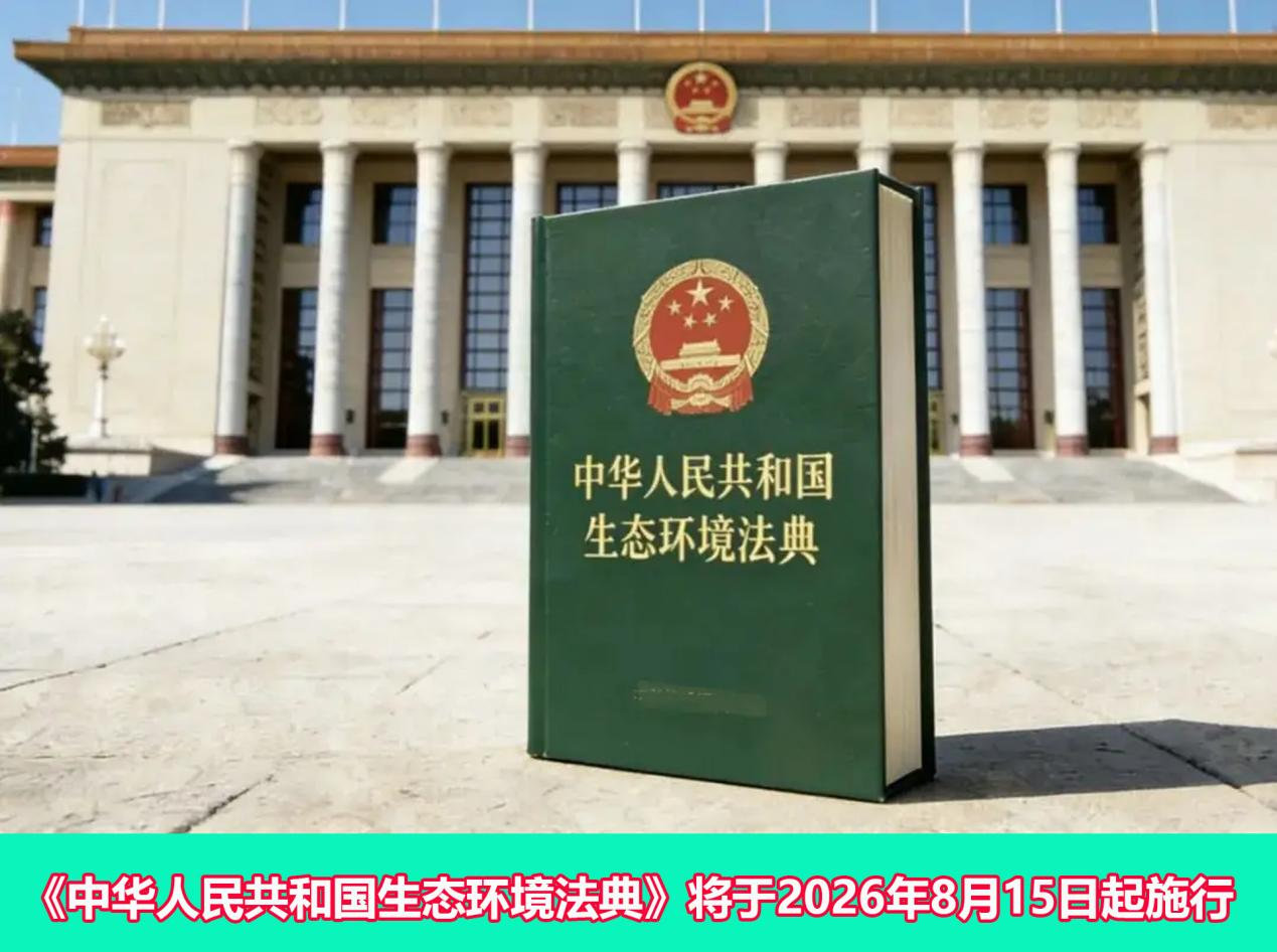 名家评论:朱现领主任在东莞观音山论剑研讨会上的发言