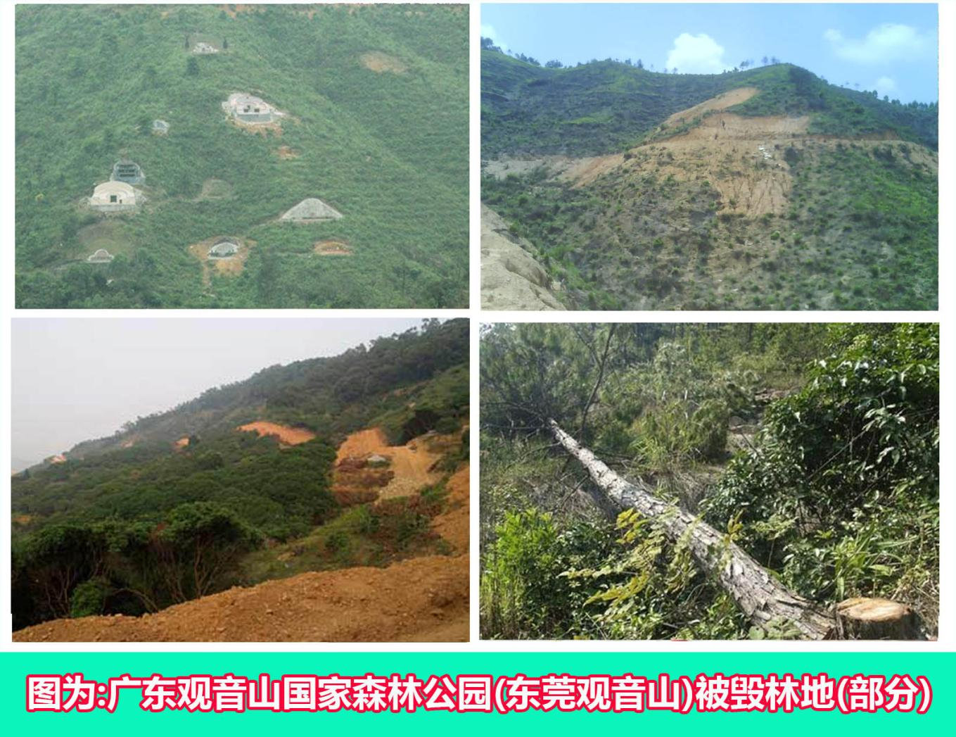 名家评论:朱现领主任在东莞观音山论剑研讨会上的发言