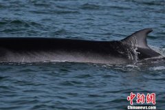 ������޵��������й���½�������������;�Ⱥ