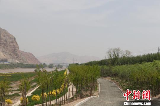 图为兰州市一级水源地保护工程一期,项目区内树木郁郁葱葱,靠近河边的绿地生机盎然。 包春袆 摄 兰州城区全方位治污防控 靶向定位有的放矢