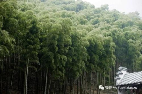 40��������ϰ��ƽʼ�ն�����º����ģ�