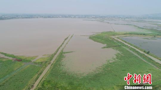 东洞庭湖国家级自然保护区华龙码头湿地 傅聪 摄 人鸟争食变成动物天堂 东洞庭湖拆停复绿显生机