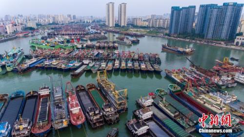 受“百里嘉”影响,琼州海峡客滚船于12日14时起全线停航。图为在海口新海港码头,一艘渔船正在回港避风。 骆云飞 摄 台风“百里嘉”今日登陆 琼州海峡全线停航