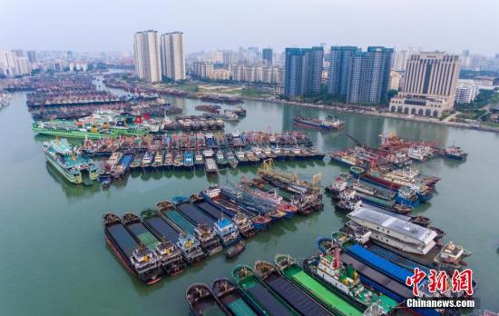 资料图:航拍在海口新海港码头停靠避风的船只。 骆云飞 摄 应急管理部建每日调度机制 应对台风“百里嘉”